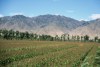 G�ry Mongolii, Mongolia